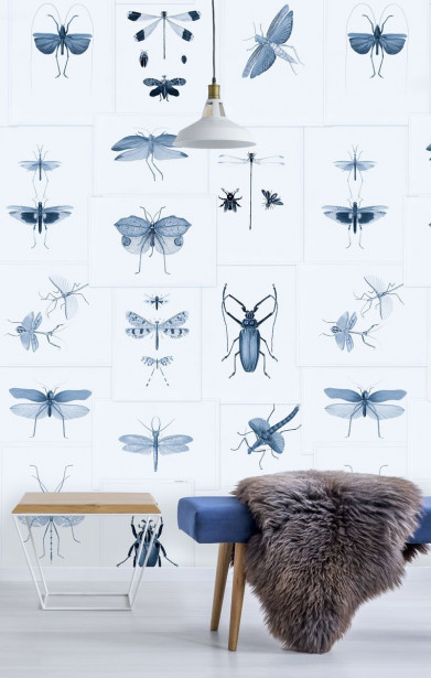 Paneelitapetti Mindthegap Entomology Blue, 1.56x3m