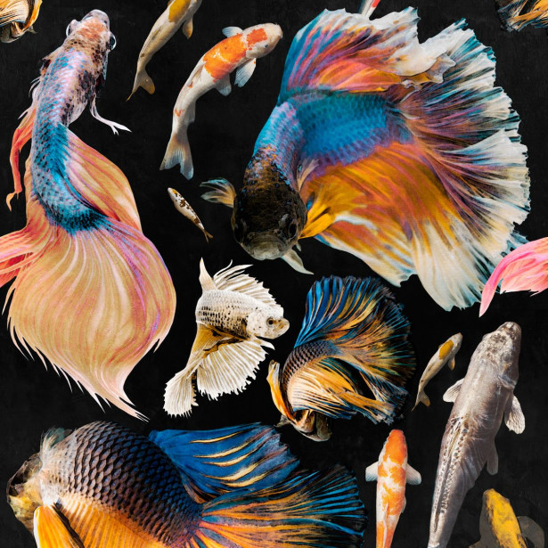 Paneelitapetti Mindthegap Goldfish, 1.56x3m, musta