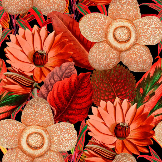 Paneelitapetti Mindthegap Water lilies, 1.56x3m, punainen/musta
