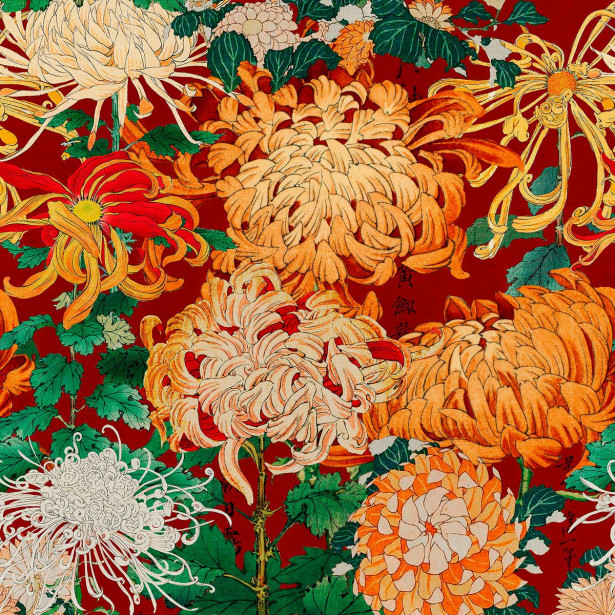 Paneelitapetti Mindthegap Chrysanthemums, 1.56x3m, punainen