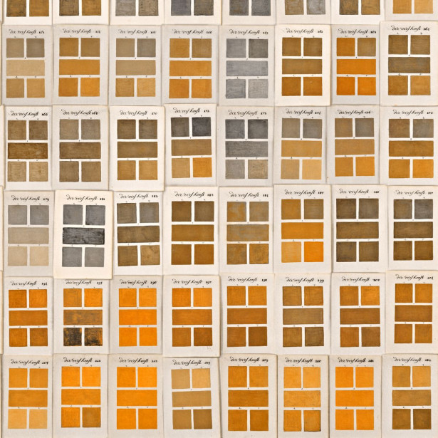 Paneelitapetti Mindthegap Traite des couleurs, 1.56x3m, ruskea