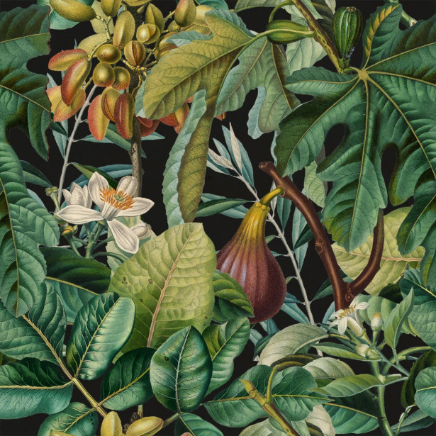 Paneelitapetti Mindthegap Figs and dates, 1.56x3m