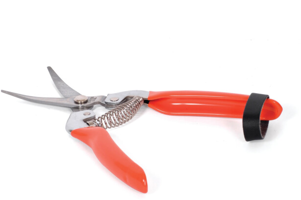 Sadonkorjuusakset Nelson Garden Curved Blade, 19 cm