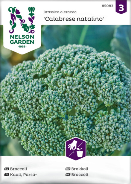 Parsakaali siemen Nelson Garden Calabrese Natalino