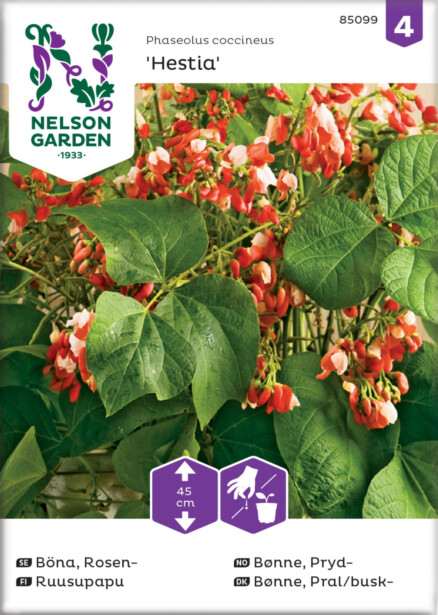 Ruusupapu siemen Nelson Garden Hestia, matala