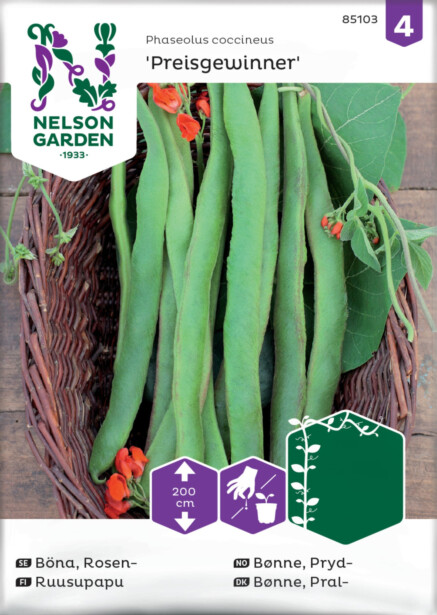 Ruusupapu siemen Nelson Garden Preisgewinner