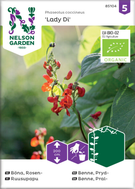 Ruusupapu siemen Nelson Garden Lady Di Organic
