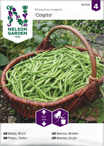 Taitepapu siemen Nelson Garden Cogito