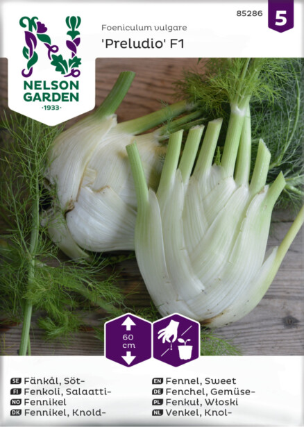 Salaattifenkoli siemen Nelson Garden Preludio F1