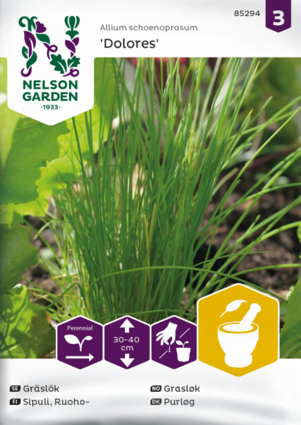 Ruohosipuli siemen Nelson Garden Dolores