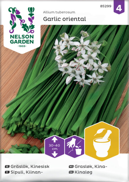 Kiinansipuli siemen Nelson Garden