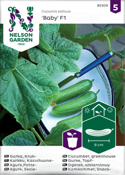 Kasvihuonekurkku siemen Nelson Garden Baby F1