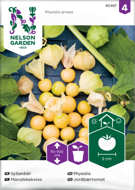 Mansikkakoiso siemen Nelson Garden