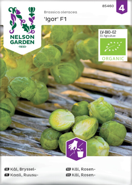 Ruusukaali siemen Nelson Garden Igor F1 Organic