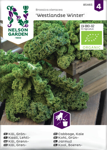 Lehtikaali siemen Nelson Garden Westlandse Winter Organic
