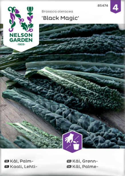 Lehtikaali siemen Nelson Garden Black Magic