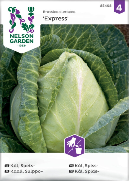 Suippokaali siemen Nelson Garden Express