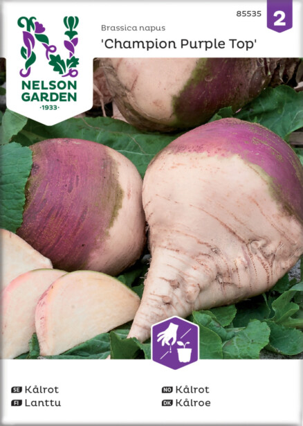 Lanttu siemen Nelson Garden Champion Purple Top