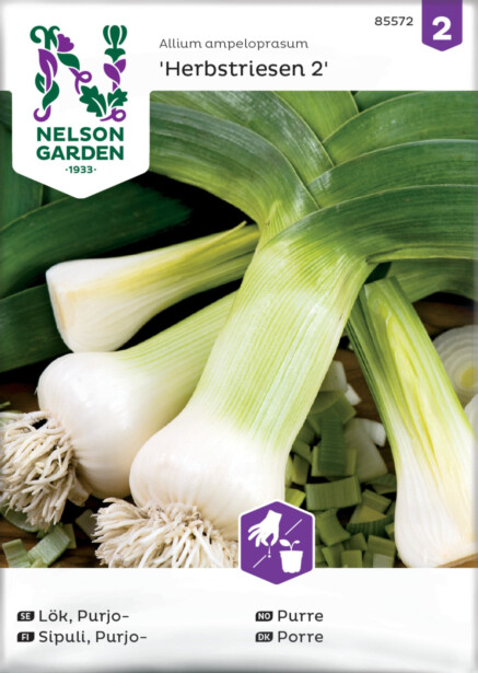 Purjosipuli siemen Nelson Garden Purjo Herbstriesen 2, syksy