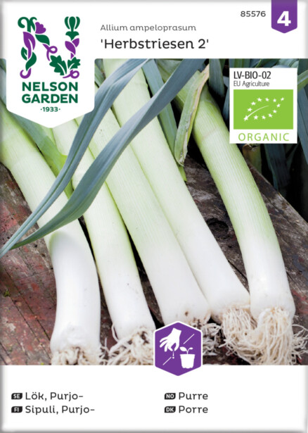 Purjosipuli siemen Nelson Garden Herbstriesen 2 Organic
