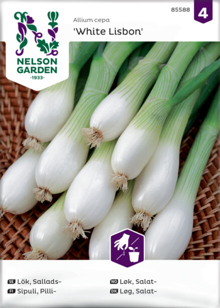 Pillisipuli siemen Nelson Garden White Lisbon
