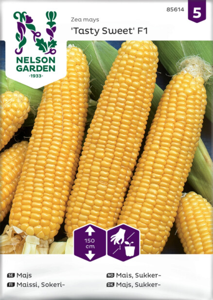 Sokerimaissi siemen Nelson Garden Tasty Sweet F2