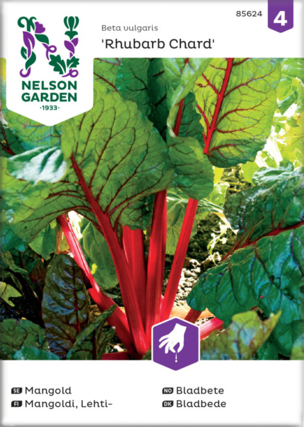 Lehtimangoldi siemen Nelson Garden Rhubarb Chard