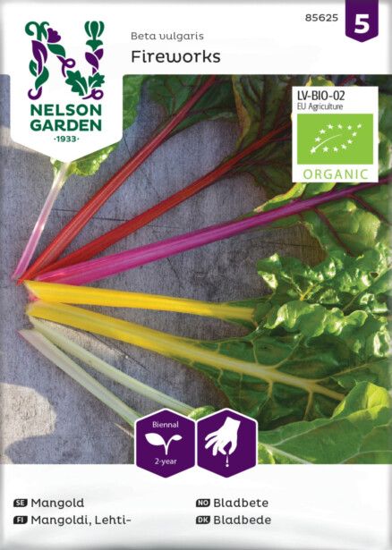 Lehtimangoldi siemen Nelson Garden Fireworks Organic