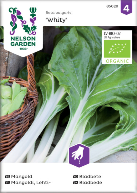 Lehtimangoldi siemen Nelson Garden Whity Organic