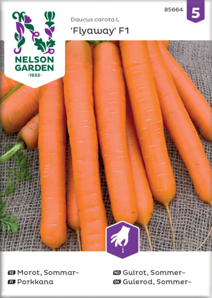 Porkkana siemen Nelson Garden Flyaway F1