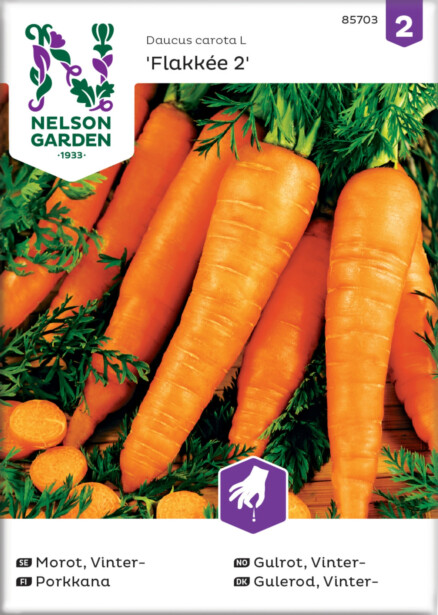 Porkkana siemen Nelson Garden Flakkée 2