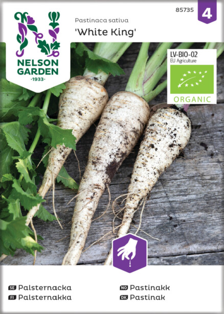 Palsternakka siemen Nelson Garden White King Organic