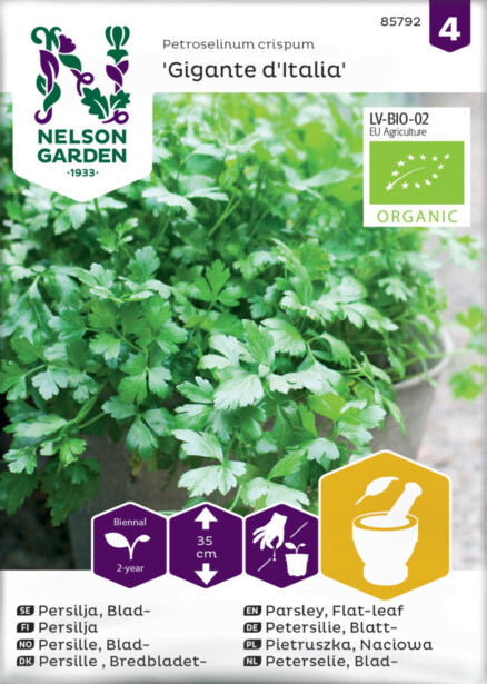 Persilja siemen Nelson Garden Giga d'Italia Organic, sileälehtinen