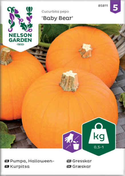 Kurpitsa siemen Nelson Garden Baby Bear