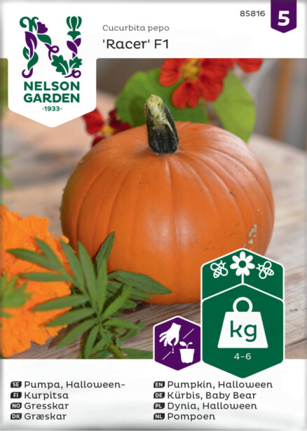 Kurpitsa siemen Nelson Garden Racer F1