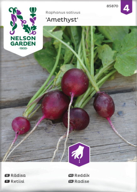 Retiisi siemen Nelson Garden Amethyst