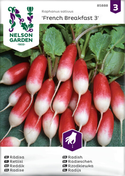 Retiisi siemen Nelson Garden French Breakfast 3