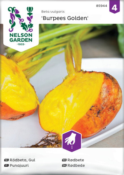 Punajuuri siemen Nelson Garden Burpees Golden