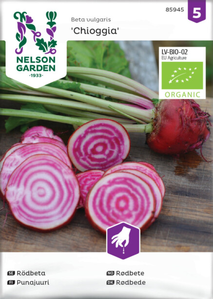 Punajuuri siemen Nelson Garden Chioggia Organic