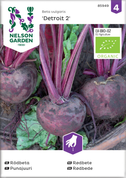 Punajuuri siemen Nelson Garden Detroit 2 Organic