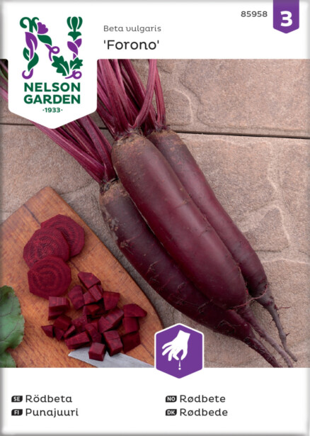 Punajuuri siemen Nelson Garden Forono, pitkä