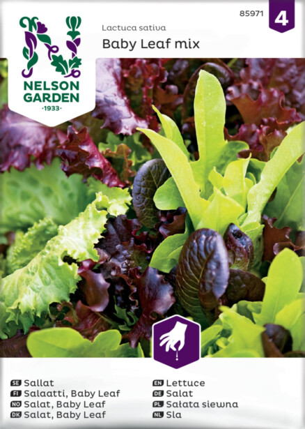 Salaattiseos siemen Nelson Garden Baby Leaf