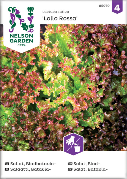 Bataviasalaatti siemen Nelson Garden Lollo Rossa