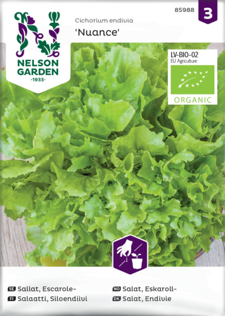 Endiivisalaatti siemen Nelson Garden Silo Nuance Organic