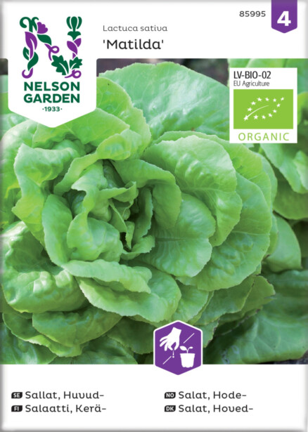 Keräsalaatti siemen Nelson Garden Matilda Organic