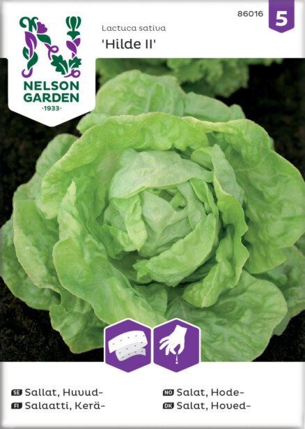 Keräsalaatti siemen Nelson Garden Hilde II, kylvönauha