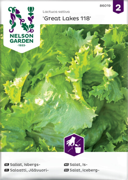 Jäävuorisalaatti siemen Nelson Garden Great Lakes 118