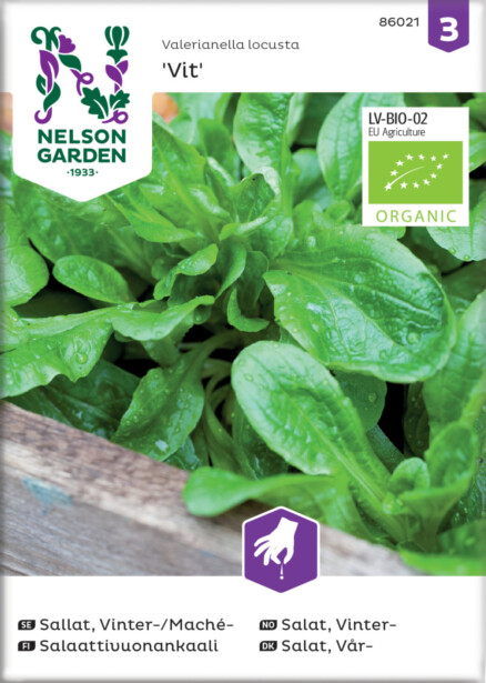 Salaattivuonankaali siemen Nelson Garden Vit Organic