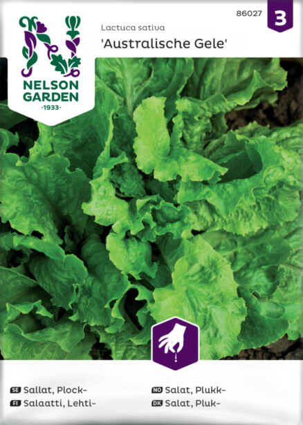 Lehtisalaatti siemen Nelson Garden Australialainen