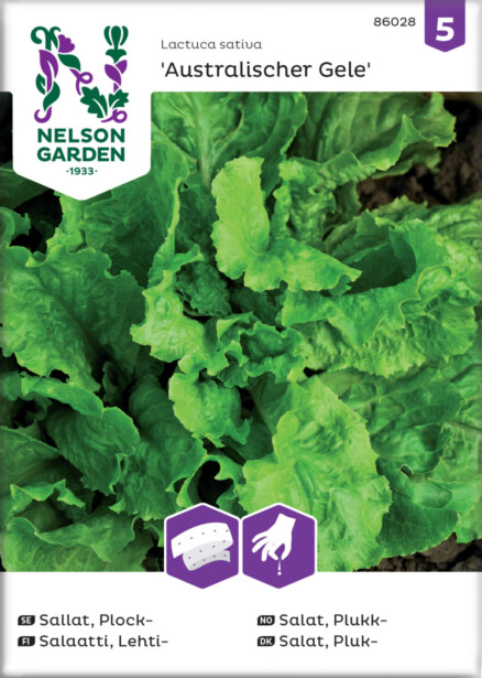 Lehtisalaatti siemen Nelson Garden Australialainen, kylvönauha